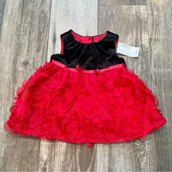 The Children’s Place TCP Black Velvet W/red Mesh Roses Dress 0-3 Months NWT - Picture 1 of 4